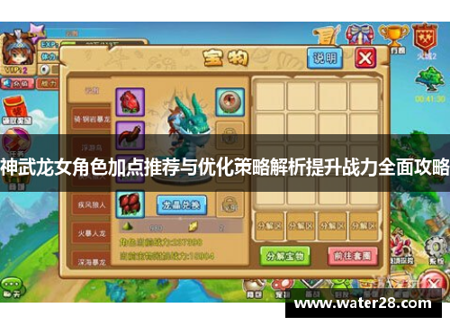 神武龙女角色加点推荐与优化策略解析提升战力全面攻略